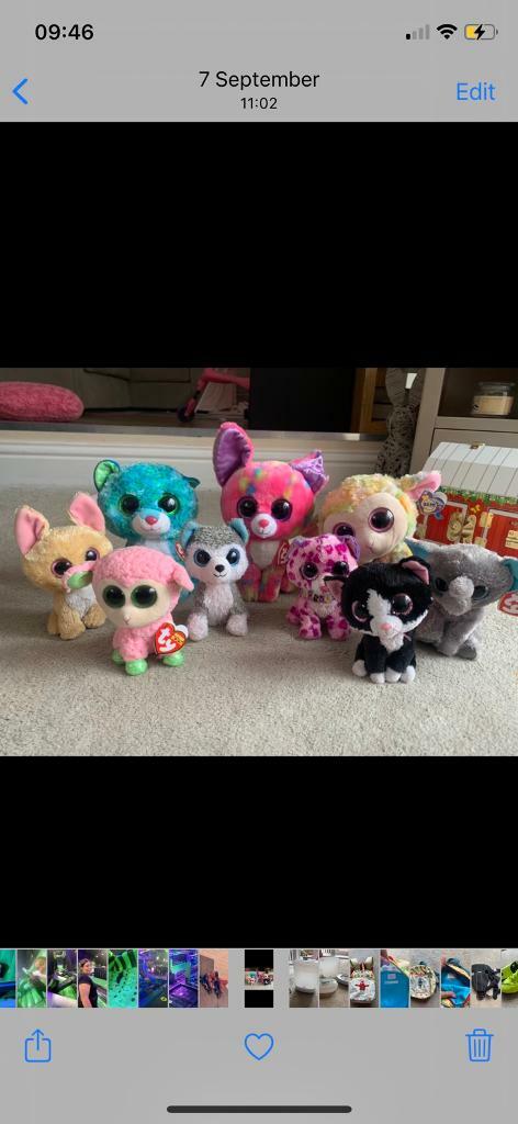 beanie boos gumtree